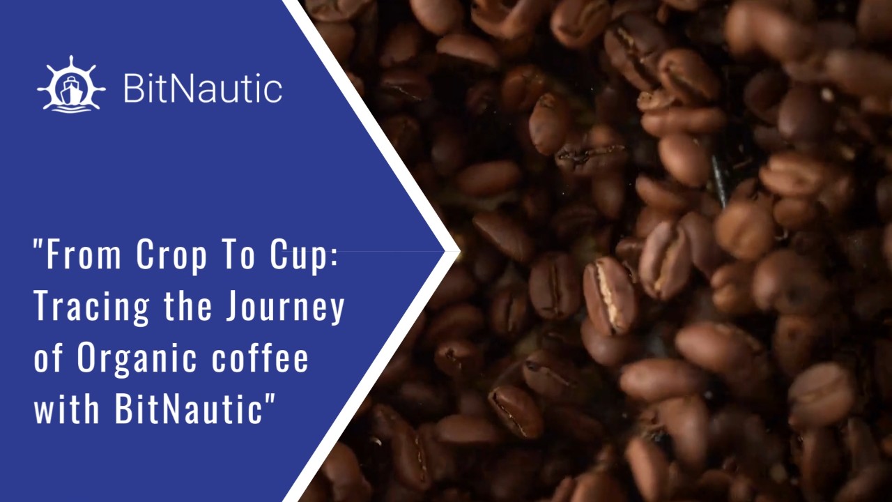 From Crop To Cup: Tracing the Journey of Organic coffee with BitNautic